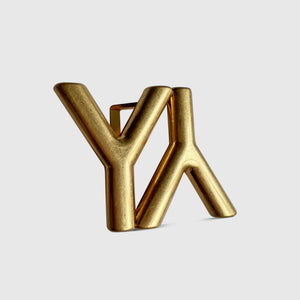 YLIANA YEPEZ belt