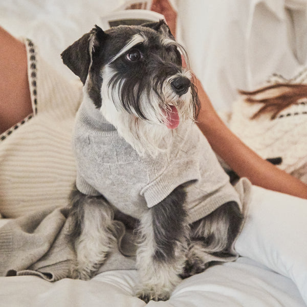 Dog Sweater YY Logomania Light Grey