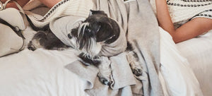 YLIANA YEPEZ Cashmere