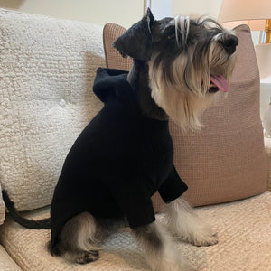 Sudadera para mascota cachemira negra con logo YY