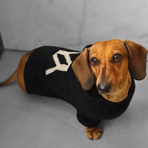 Sudadera para mascota cachemira negra con logo YY