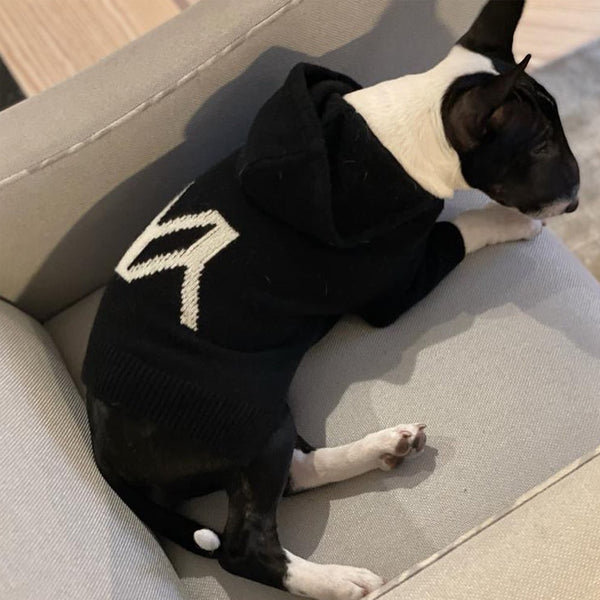 Dog Hoodie Cashmere Black with YY logo
